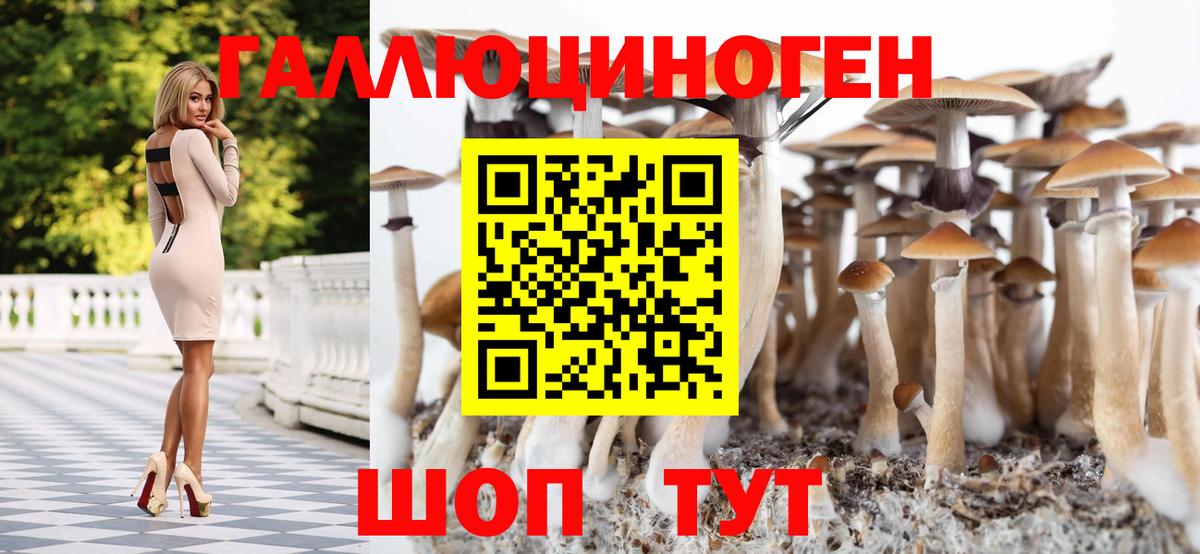 Псилоцибиновые грибы Cubensis Серов