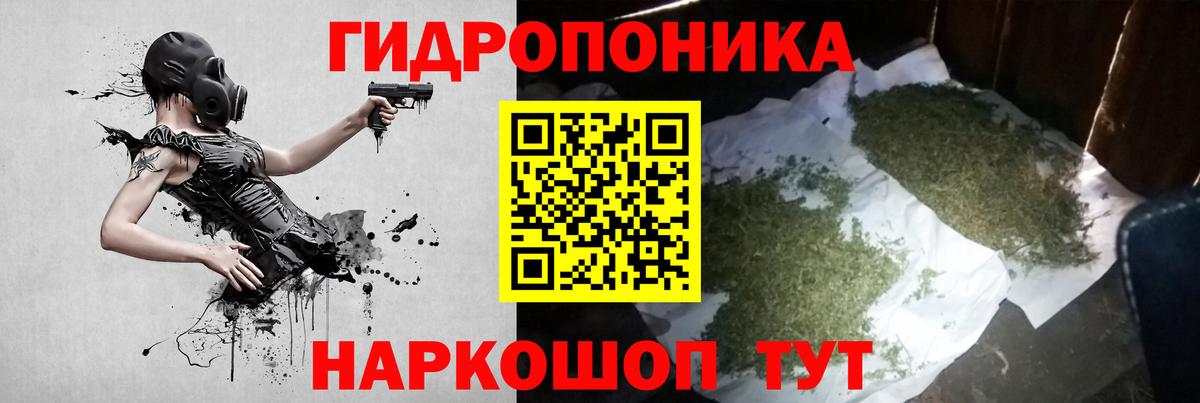 Конопля OG Kush Серов